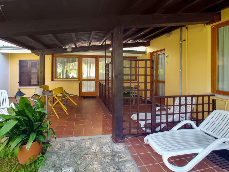 Plant, Building, Window, Porch, Shade, Wood, Chair, Houseplant, Architecture, Interior Design