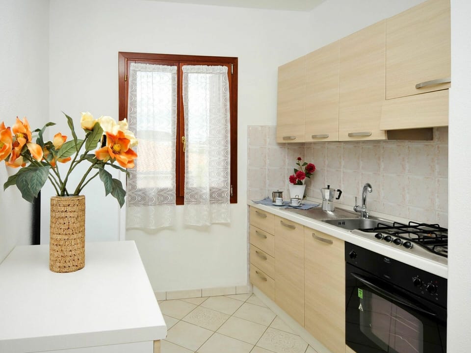 Flower, Cabinetry, Plant, Kitchen Sink, Countertop, Building, Sink, Furniture, Tap, Interior Design