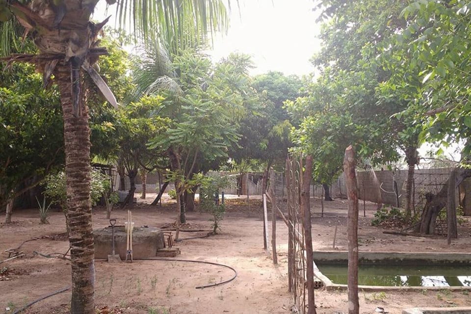 Property grounds