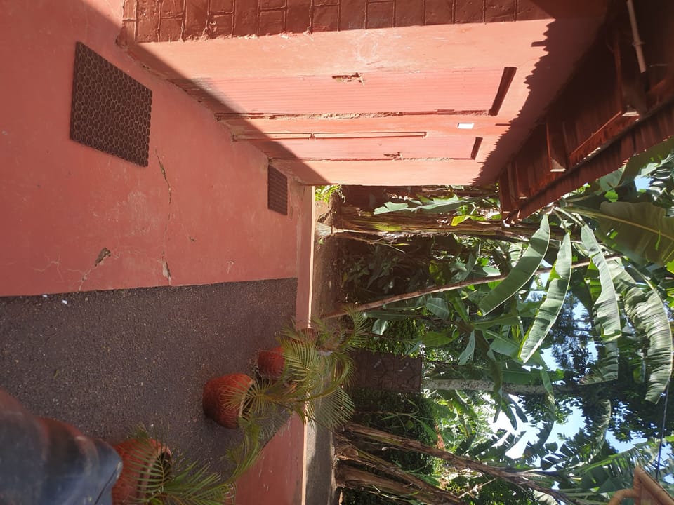 Image 13