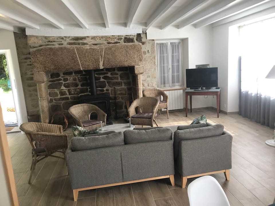 salon - cheminée
