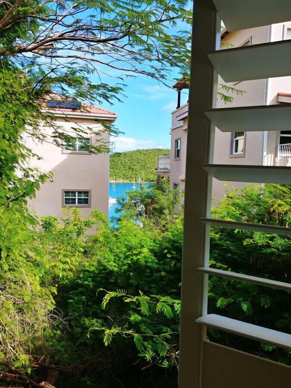 View from Kitchenette