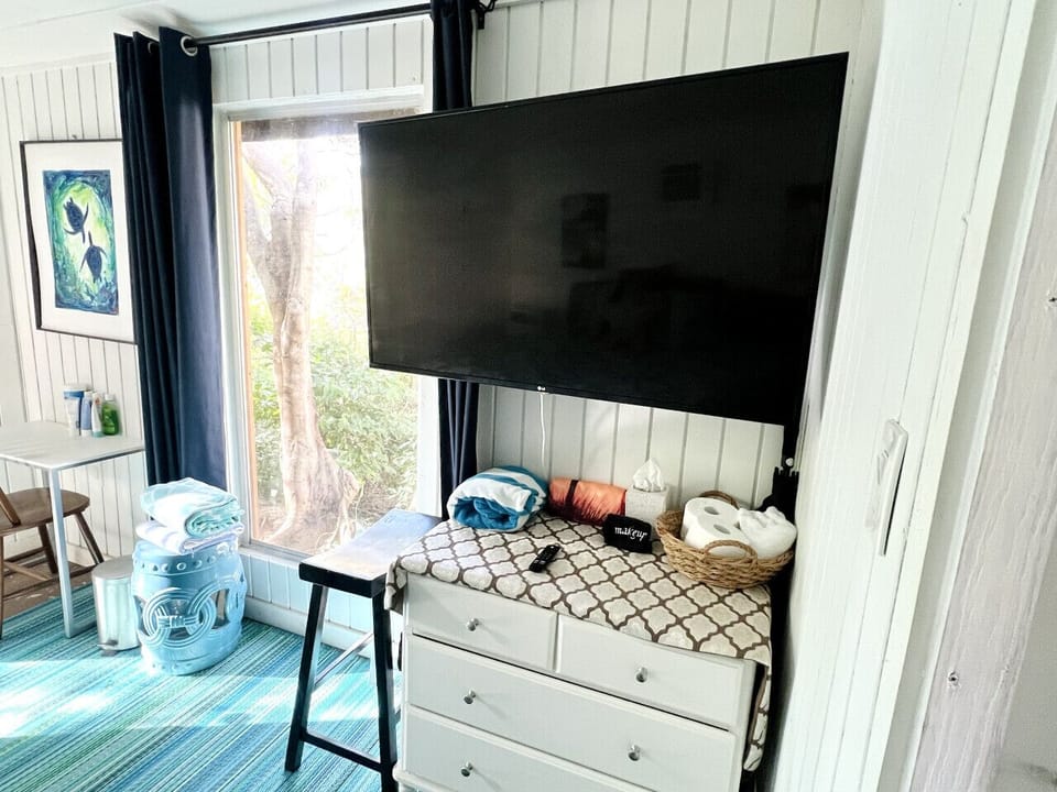 TV and Window
