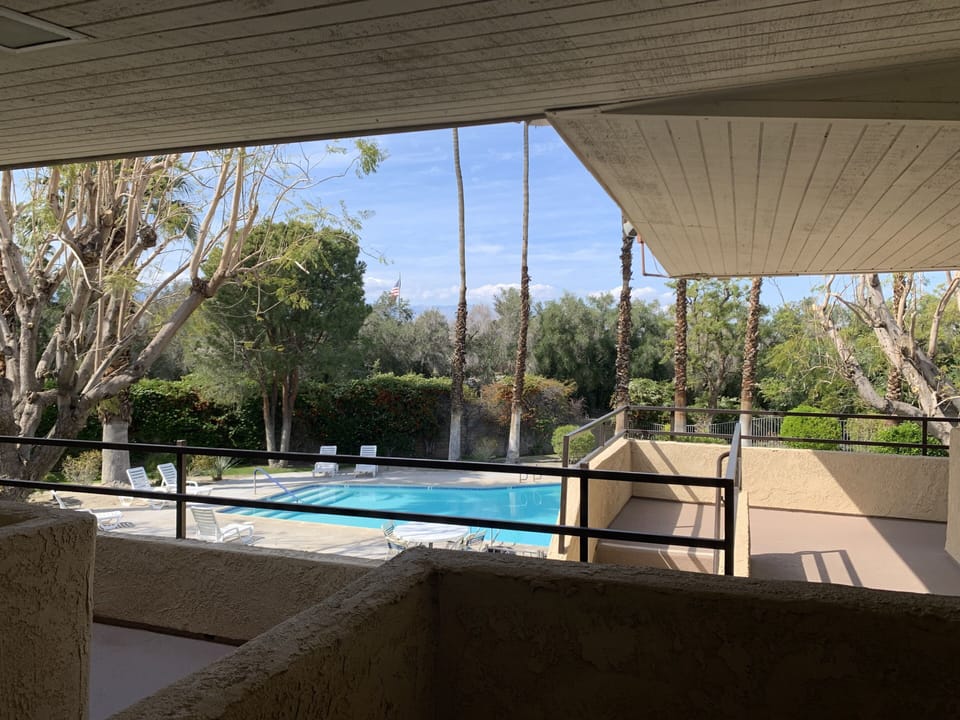 View From The Patio 