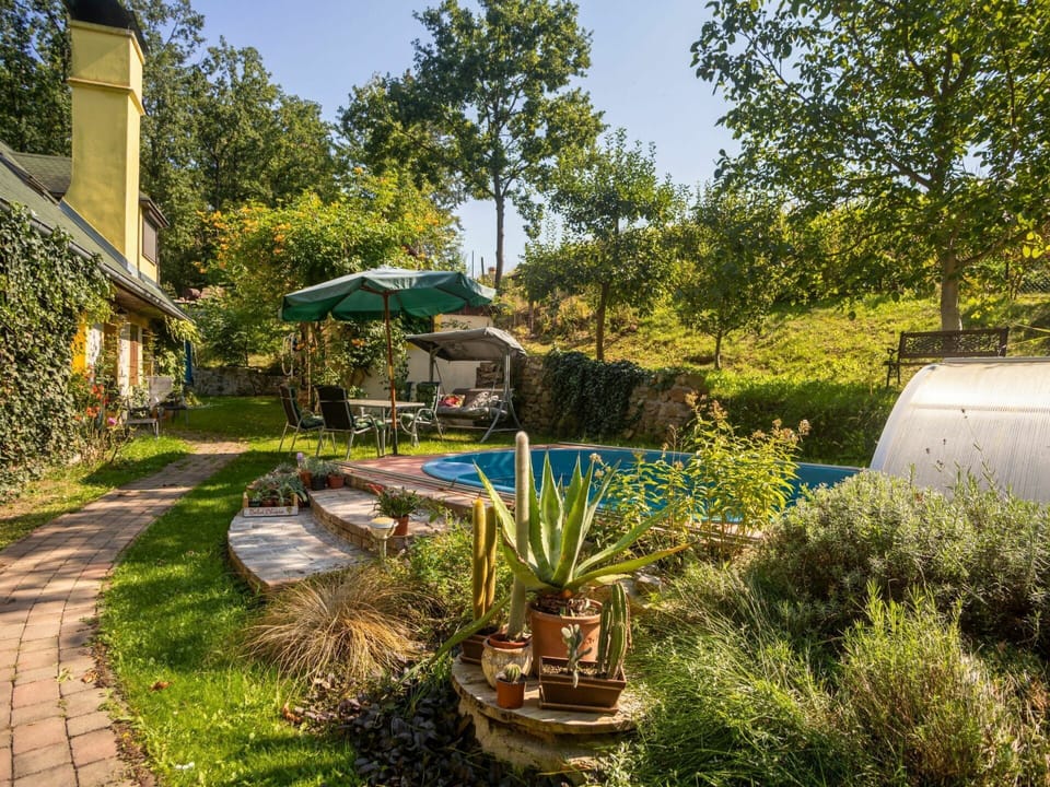 Garden, Vegetation, Property, Natural Landscape, Grass, Yard, Botanical Garden, House, Botany, Home
