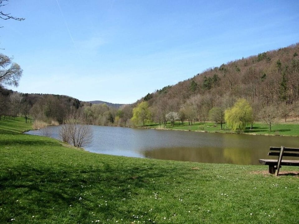 Idyllic Holiday Home in the Palatinate Forest House in Rhineland-Palatinate