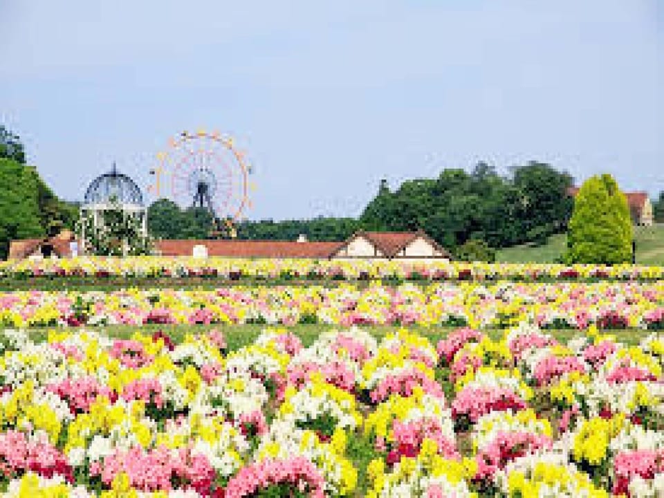 "Tokyo German Village" is about 25 minutes by car. Please enjoy the seasonal scenery.