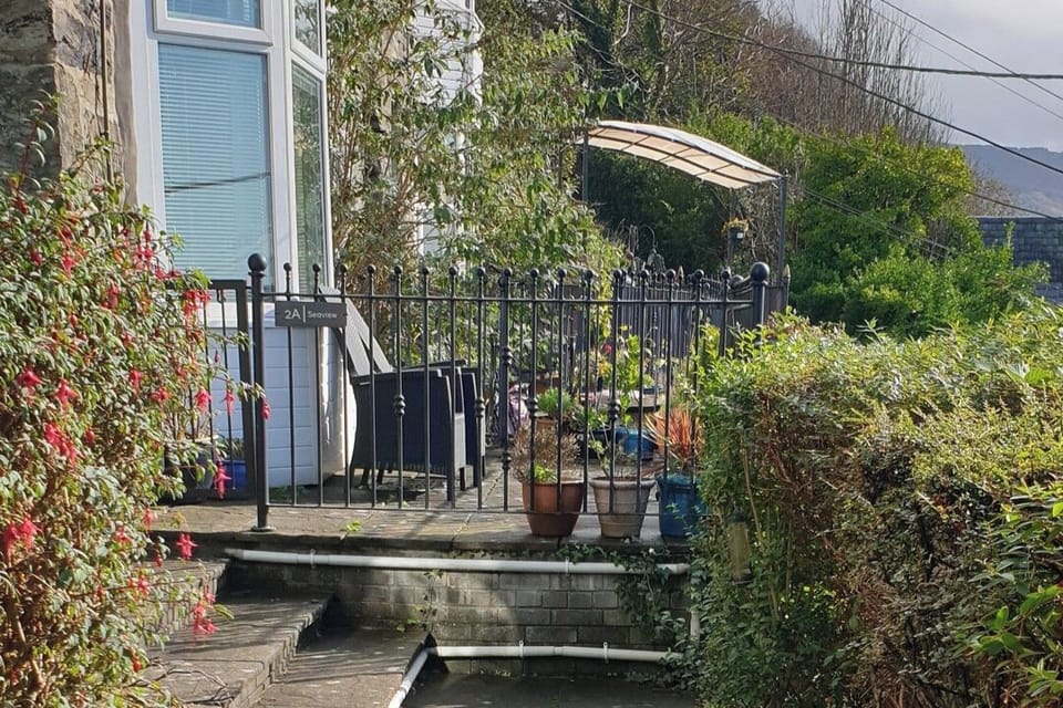 Image 6
