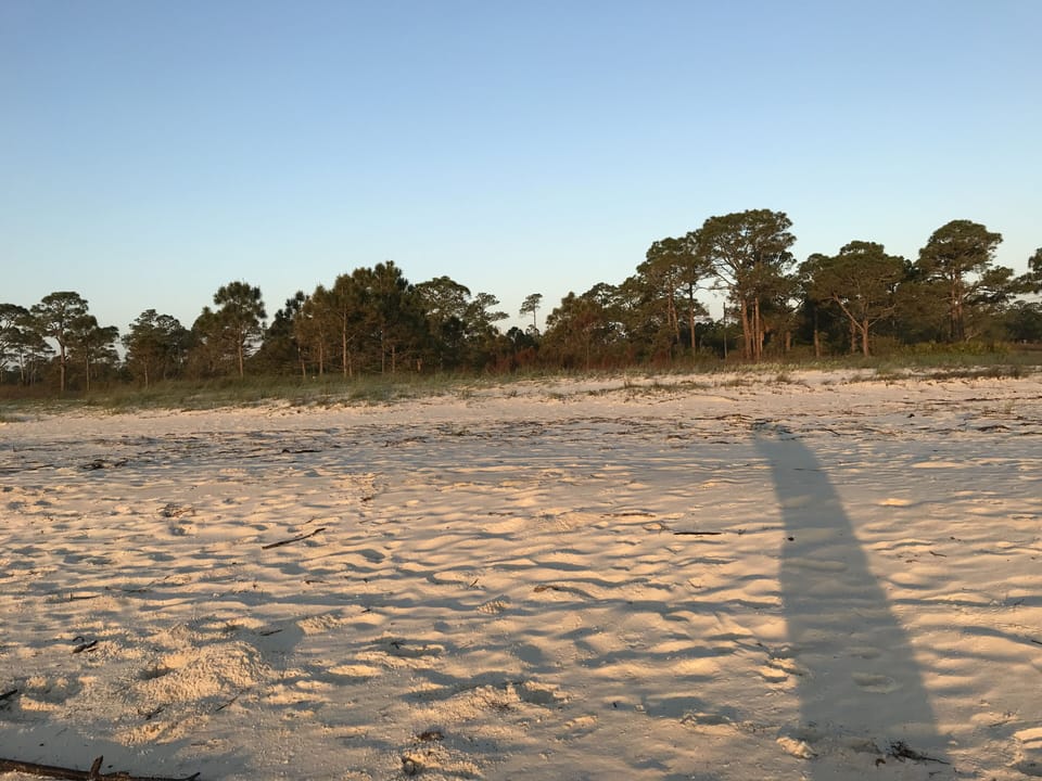 Across from the beach is also secluded with lots of forest and wildlife in park.