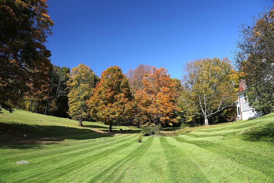 The back views of the house