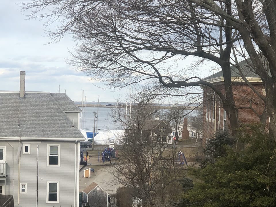 The view from the living room window.