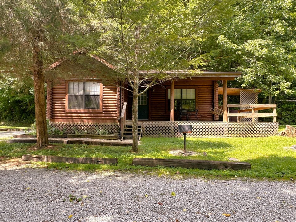 Front view of log cabin with dark green door, covered porch, wooden swing, and gravel driveway framed by trees.