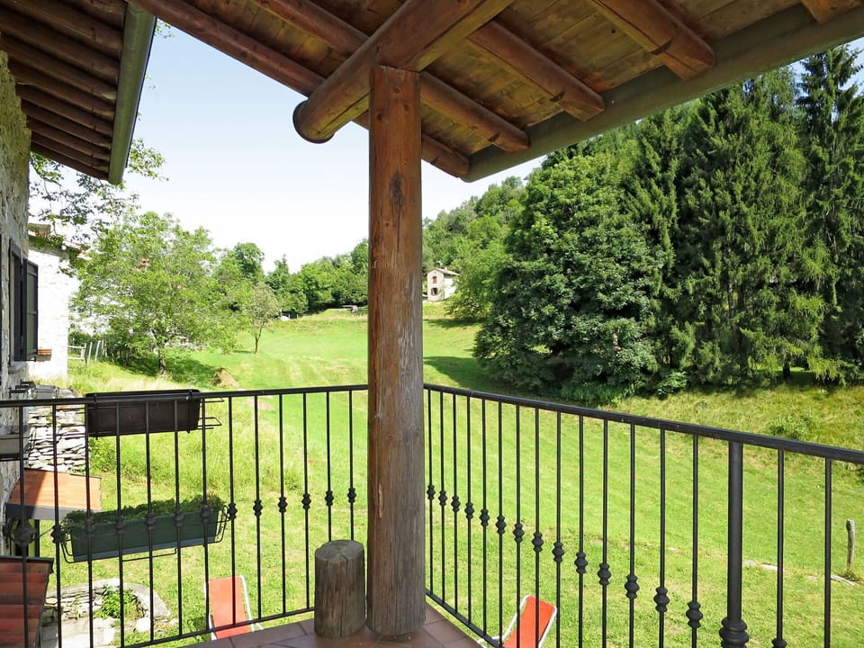 Plant, Property, Green, Tree, Wood, Botany, Shade, Sky, Fence, Grass