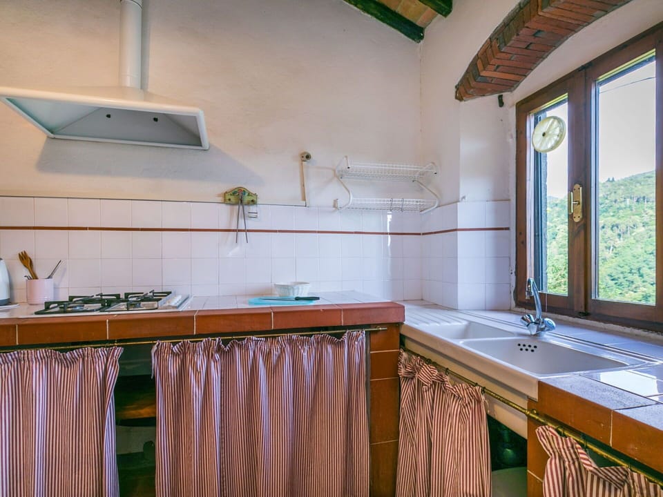 Cabinetry, Window, Tap, Countertop, Sink, Wood, Kitchen, Interior Design, Plumbing Fixture, Houseplant