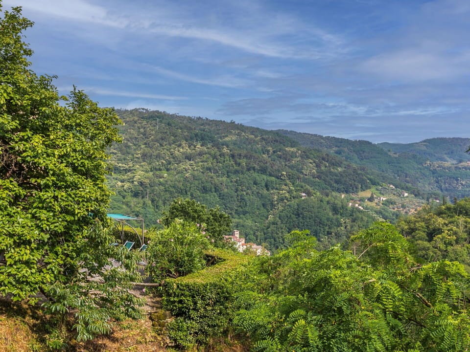 Sky, Cloud, Plant Community, Mountain, Natural Landscape, Tree, Landscape, Rural Area, Grass, Forest