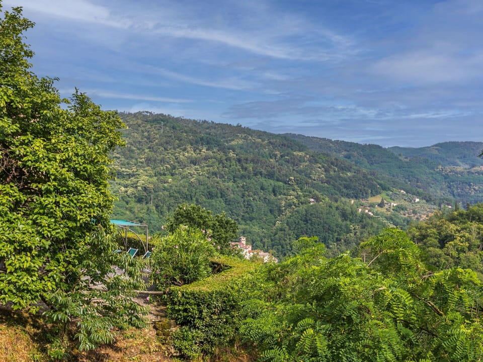 Sky, Cloud, Plant Community, Mountain, Natural Landscape, Tree, Landscape, Rural Area, Grass, Forest