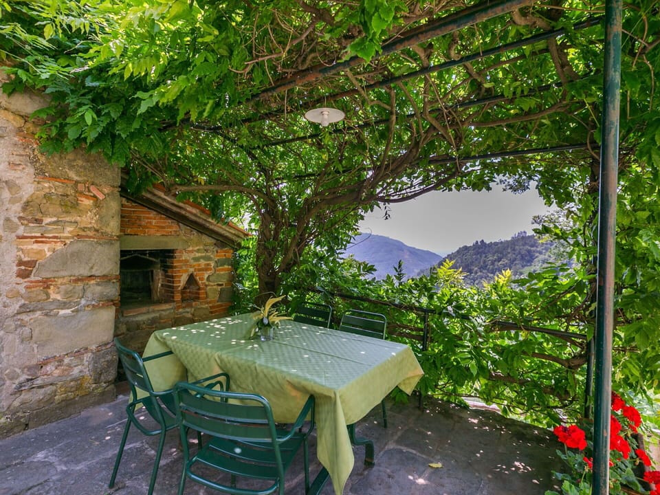 Plant, Property, Furniture, Table, Green, Botany, Nature, Building, Natural Landscape, Outdoor Furniture
