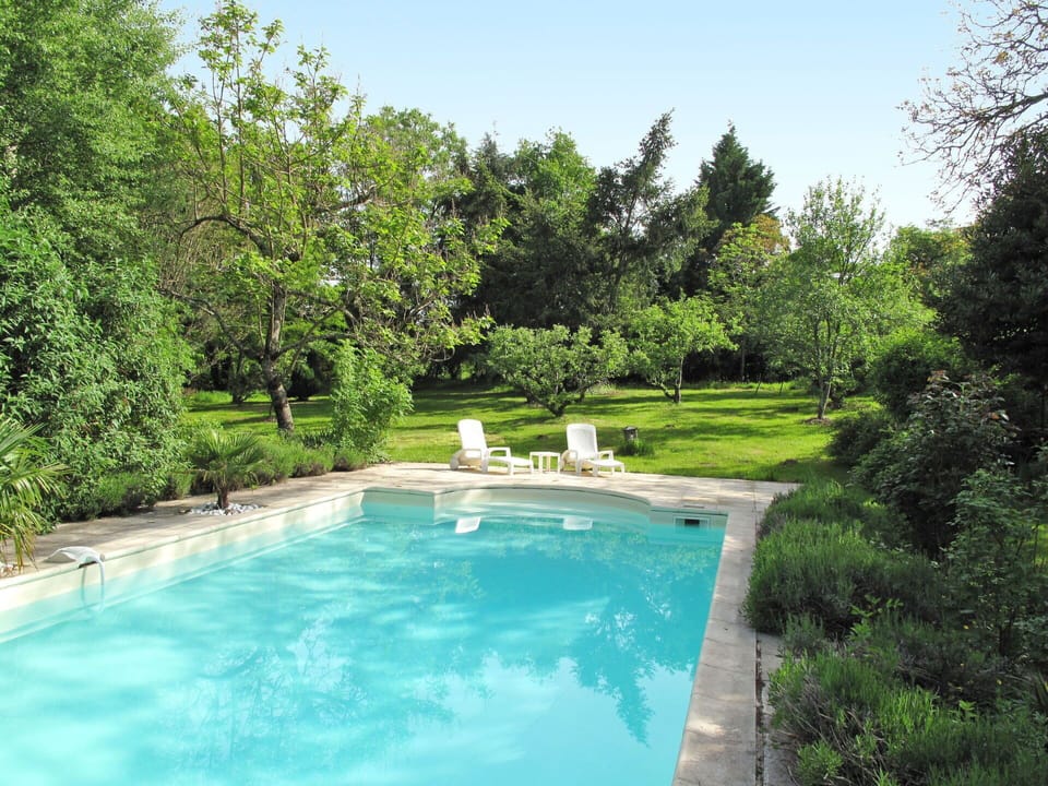 Water, Plant, Sky, Natural Landscape, Swimming Pool, Tree, Body Of Water, Grass, Leisure, Landscape