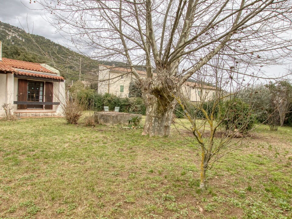 Plant, Property, Sky, Building, Window, Natural Landscape, Tree, Grass, House, Landscape