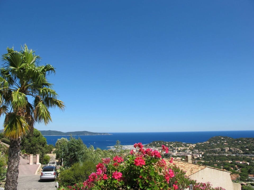 Plant, Sky, Flower, Water, Blue, Tree, Coastal And Oceanic Landforms, Leisure, Car