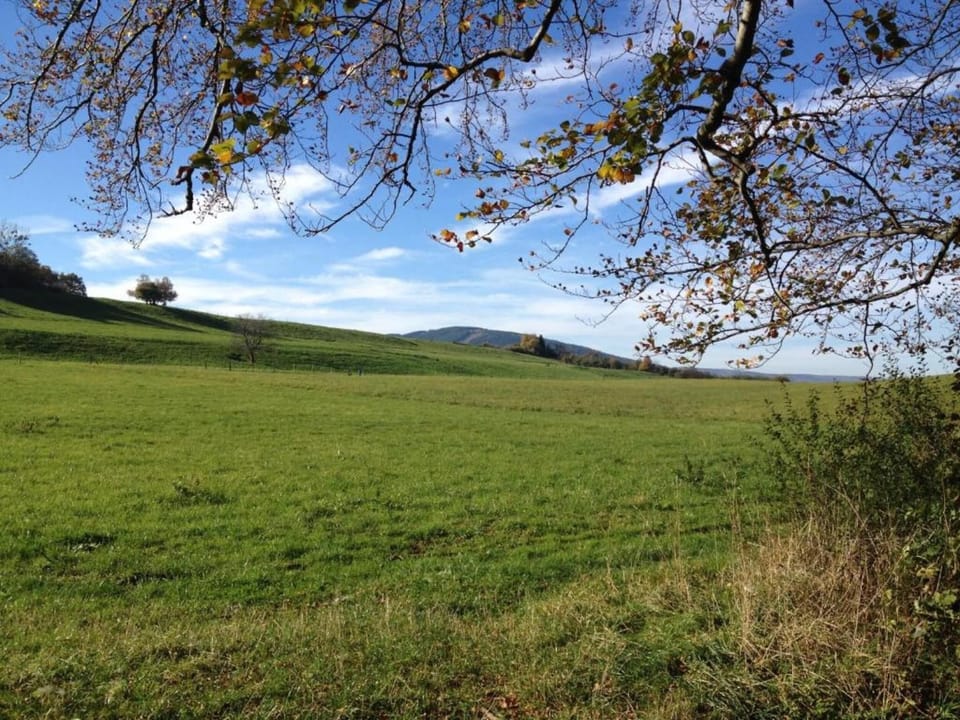 Region [summer] (>5 km)