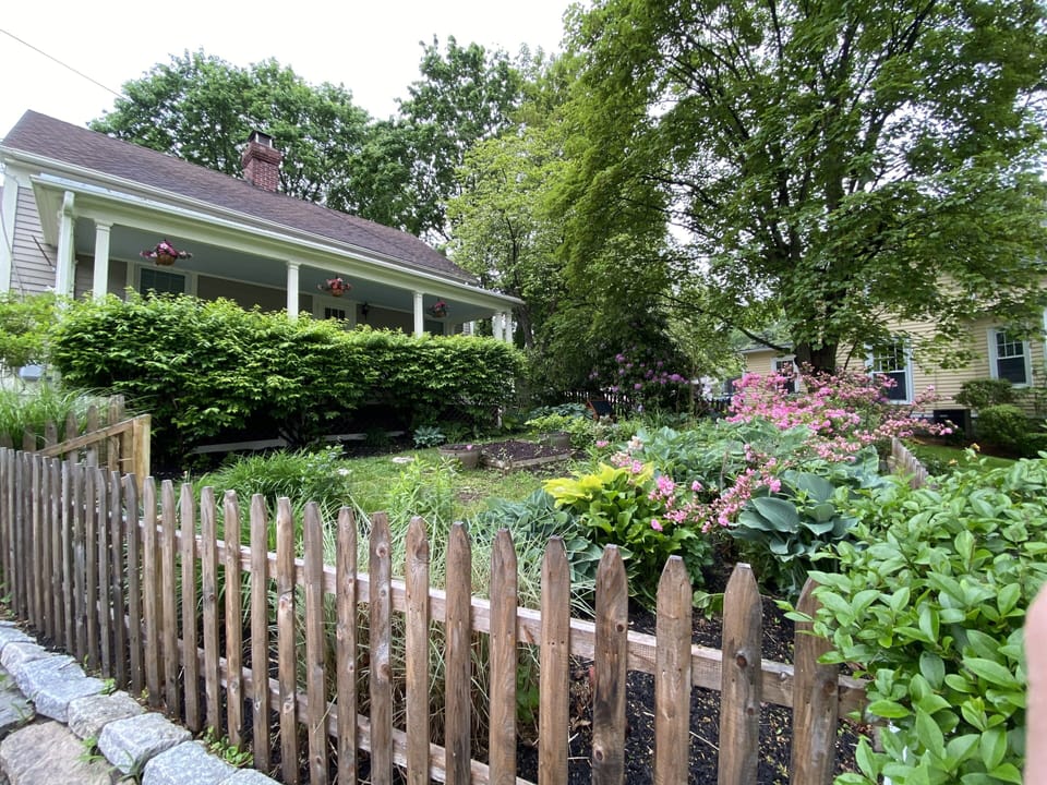 Garden in May