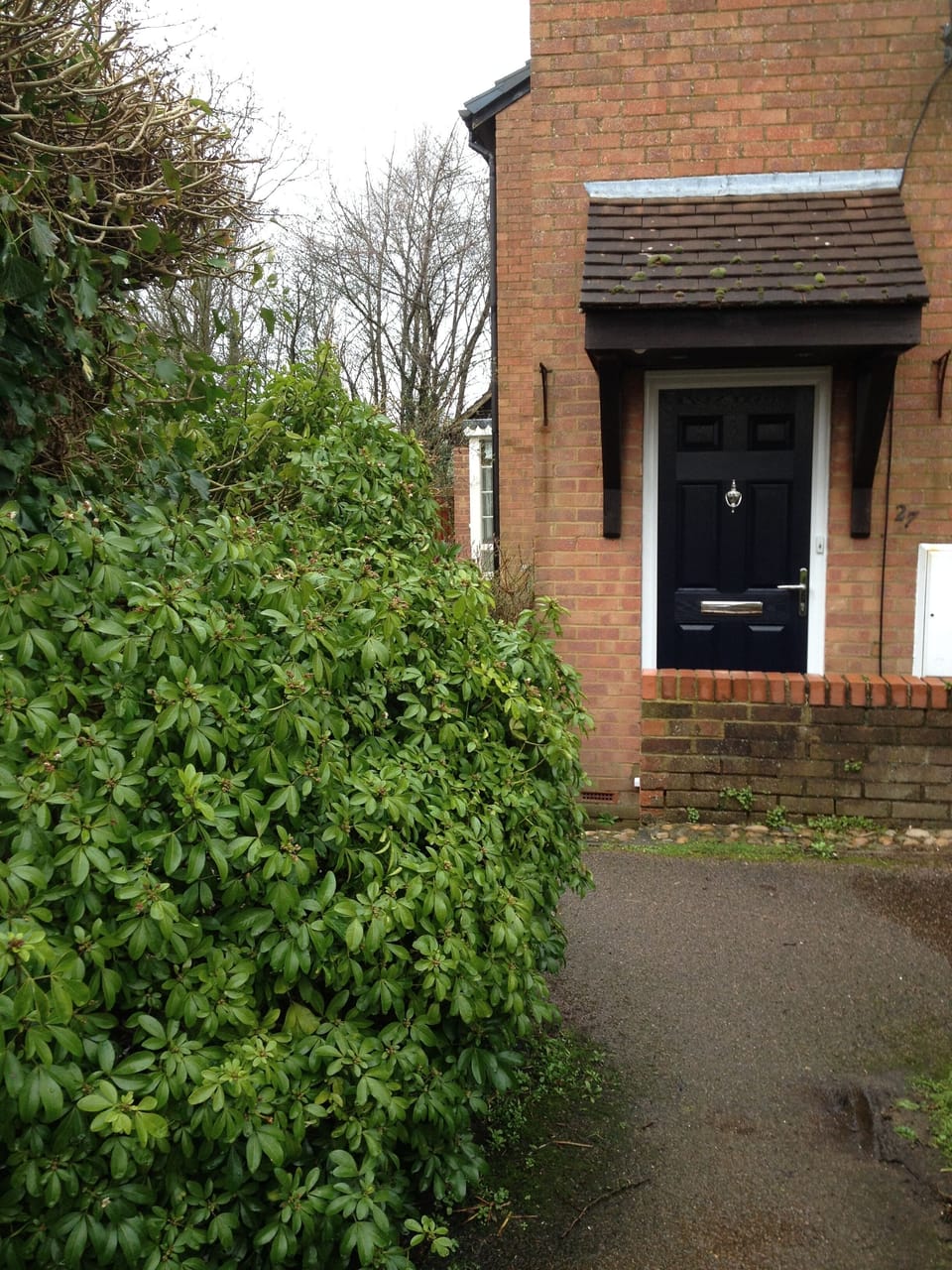 Entrance as a bell!