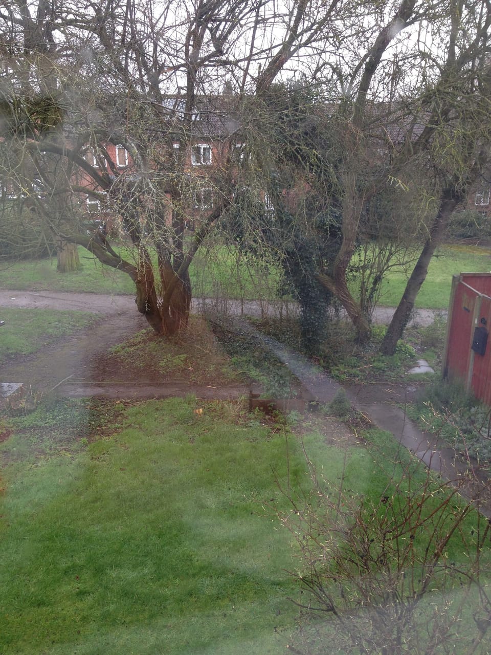 Bedroom view.