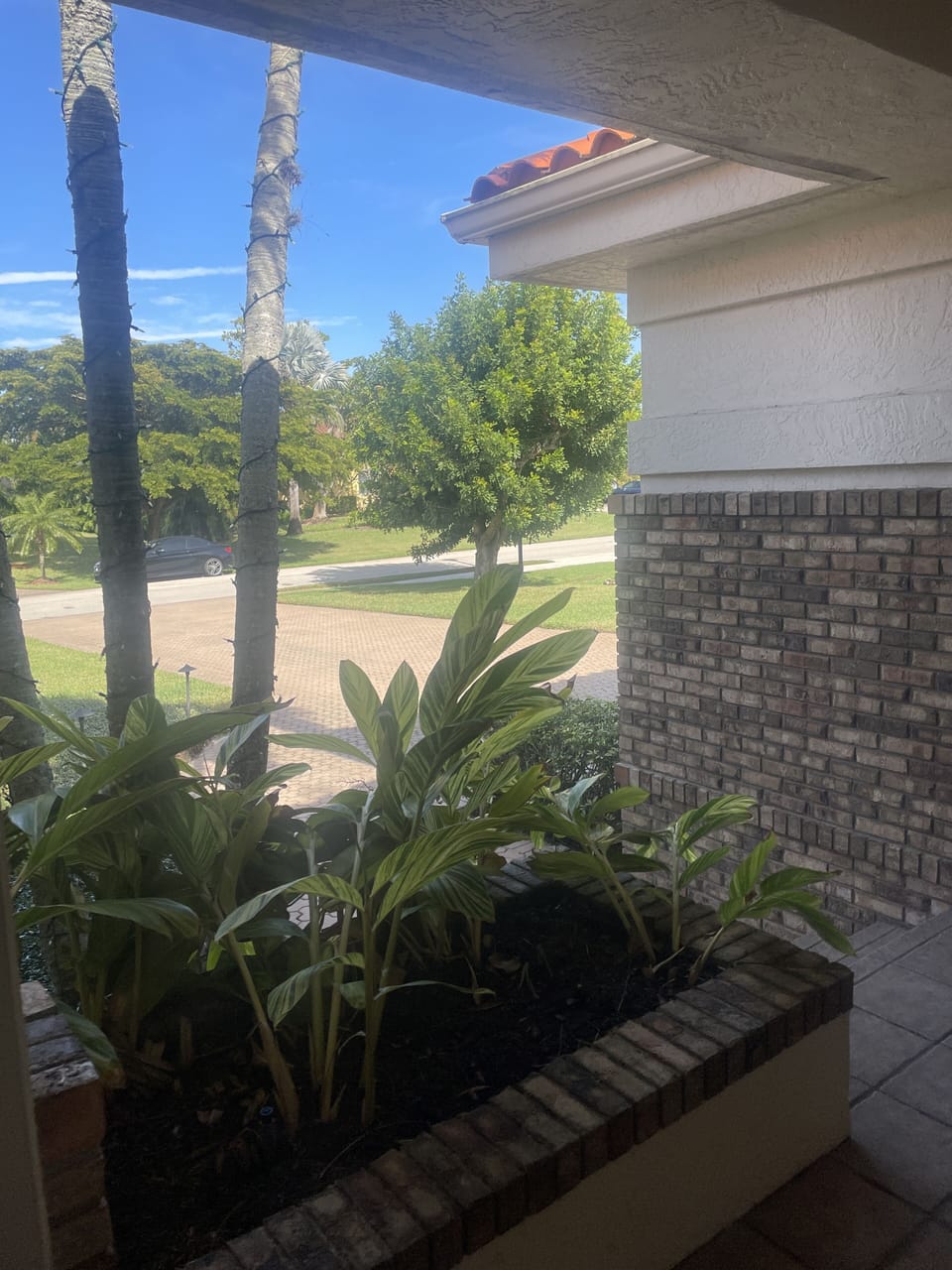 view from house to stree