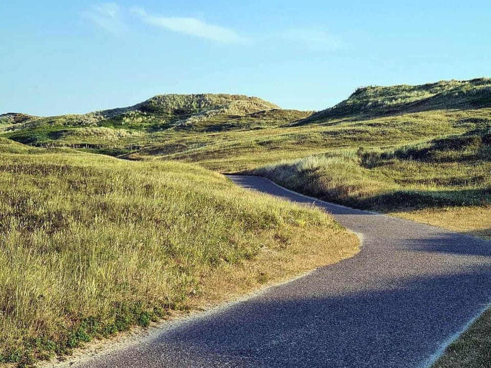Region [summer] (>5 km)