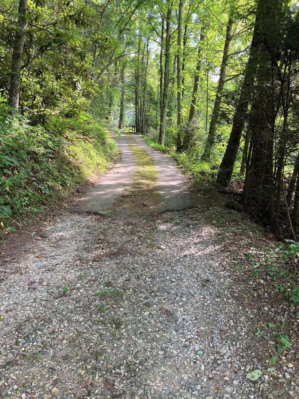 driveway - mostly pavement