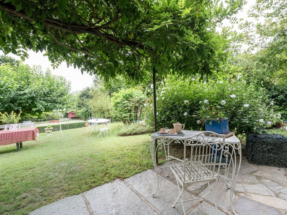 Plant, Furniture, Table, Chair, Tree, Outdoor Furniture, Outdoor Table, Grass, Natural Landscape, Shade