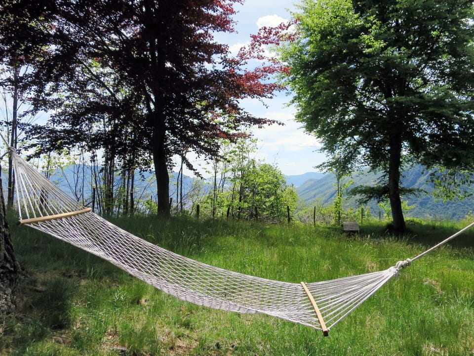 Plant, Plant Community, Sky, Natural Landscape, Tree, Slope, Land Lot, Grass