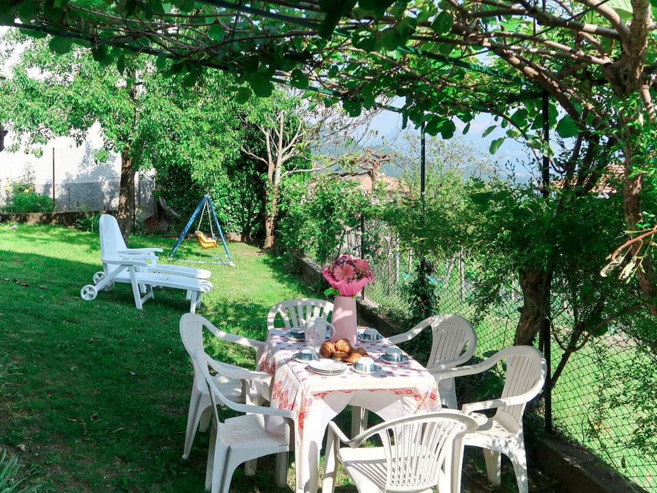 Yard, Garden, Backyard, Outdoor Table, Patio, Furniture, Outdoor Furniture, Landscaping, Tree, Botany