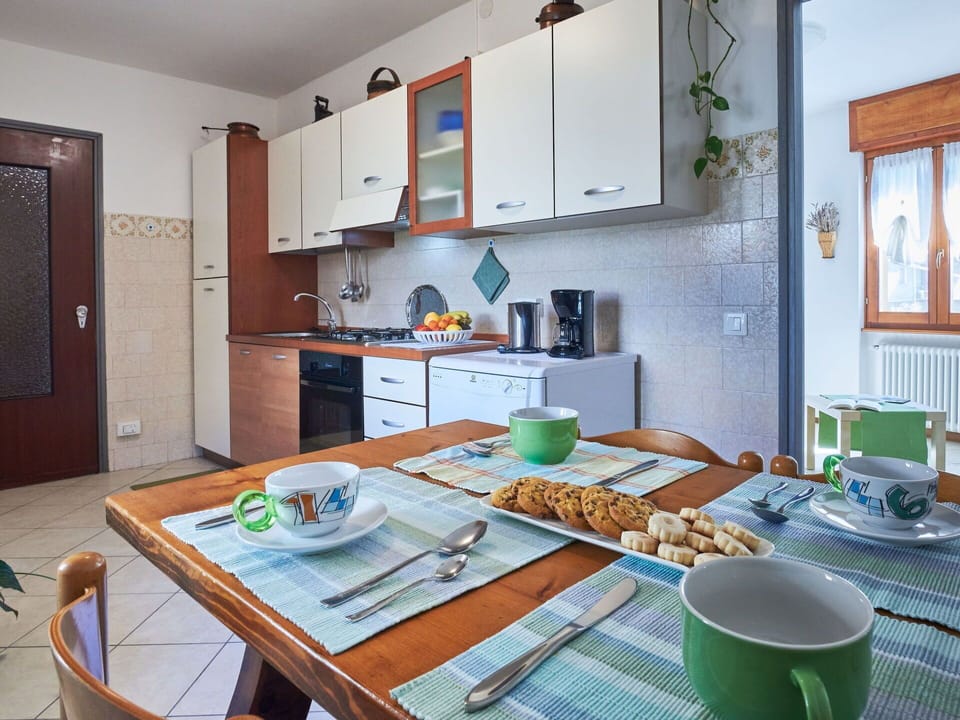 Plant, Building, Window, Flower, Tree, Cloud, Wood, Land Lot, House, Slope