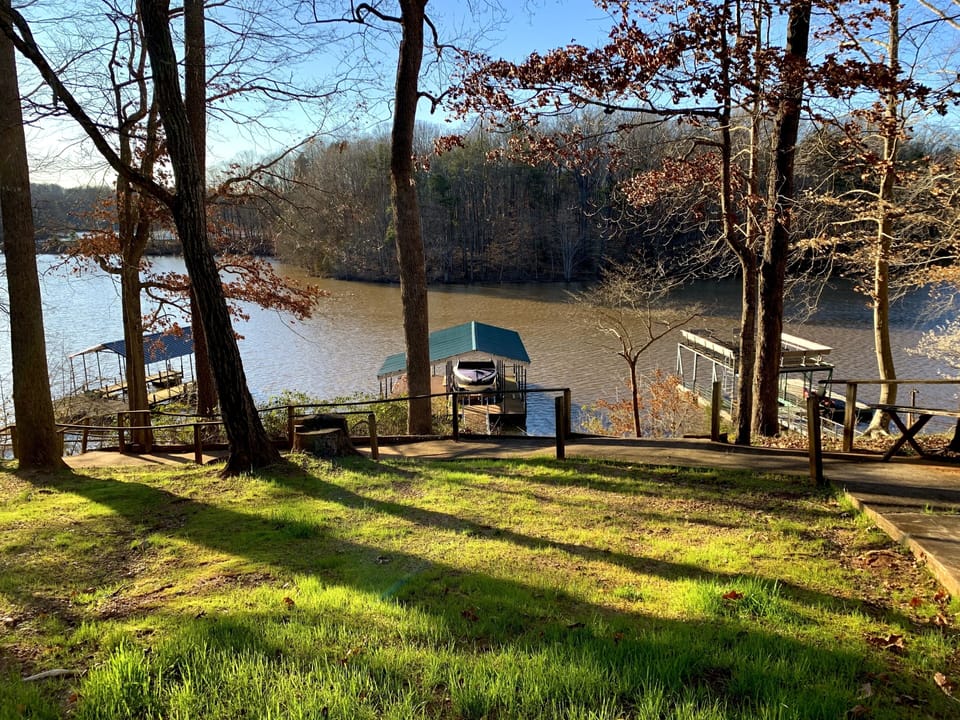 View from back yard.