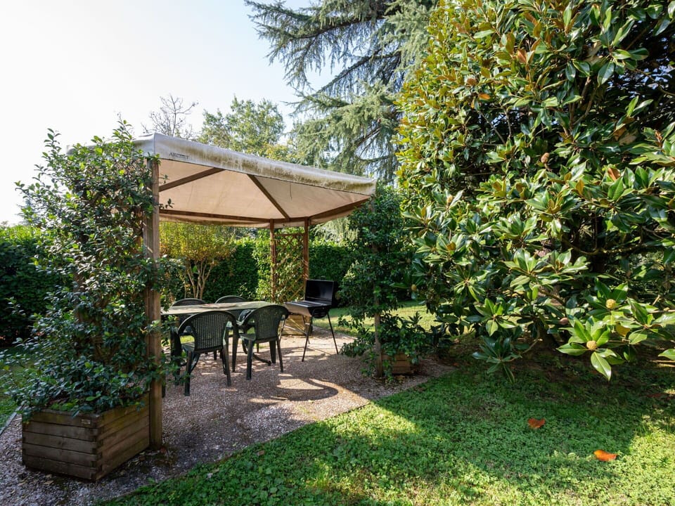 Shrub, Garden, Plant Community, Shade, Groundcover, Outdoor Furniture, Woody Plant, Backyard, Lawn, Landscaping