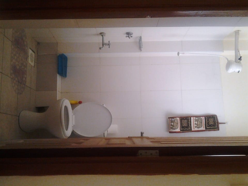 Clean bathroom with soap and shampoo.