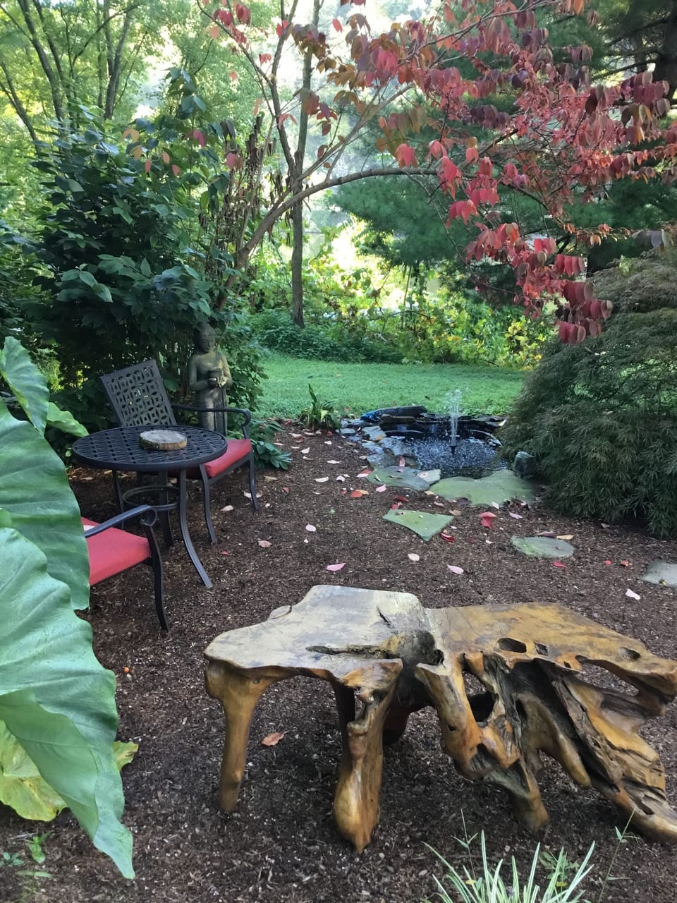Garden pond with fountain 