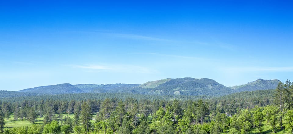 view from porch