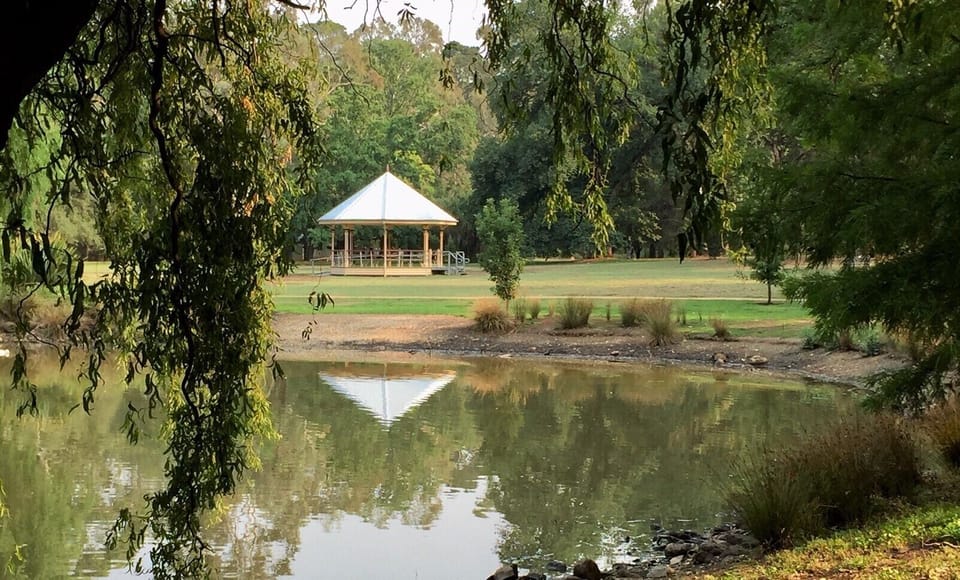 Castlemaine Botanical Gardens - our favourite space to walk