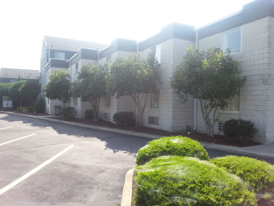Side of the building where there is a lot of parking available.