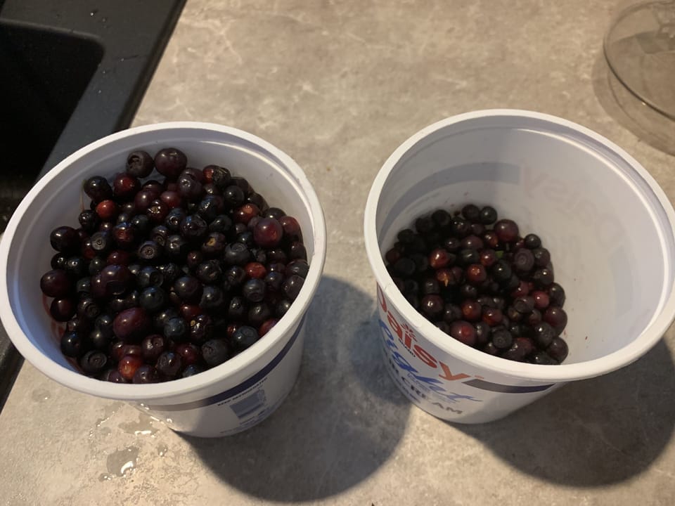 We made syrup for our huckleberry buttermilk pancakes. It doesn't get better. 