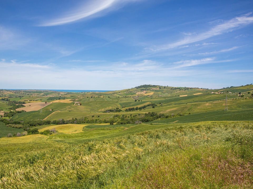 Cloud, Sky, Plant, Natural Landscape, Tree, Land Lot, Terrain, Agriculture, Grass, Cumulus