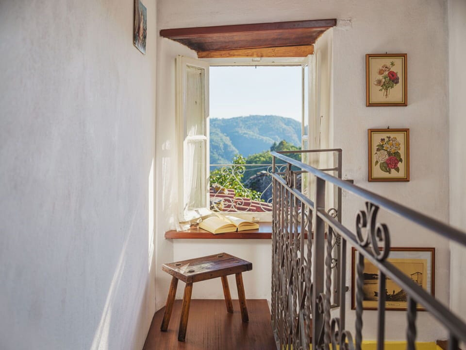 Azure, Wood, Paint, Plant, Houseplant, Interior Design, Floor, Building, Flooring, Real Estate