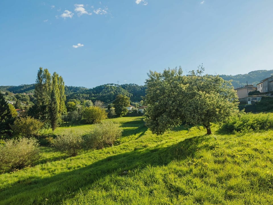 Sky, Plant, Plant Community, Cloud, Natural Landscape, Tree, Vegetation, Mountain, Mountainous Landforms, Landscape