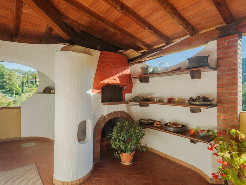 Plant, Property, Flower, Flowerpot, Wood, Houseplant, Shade, Interior Design, Real Estate, Landscape