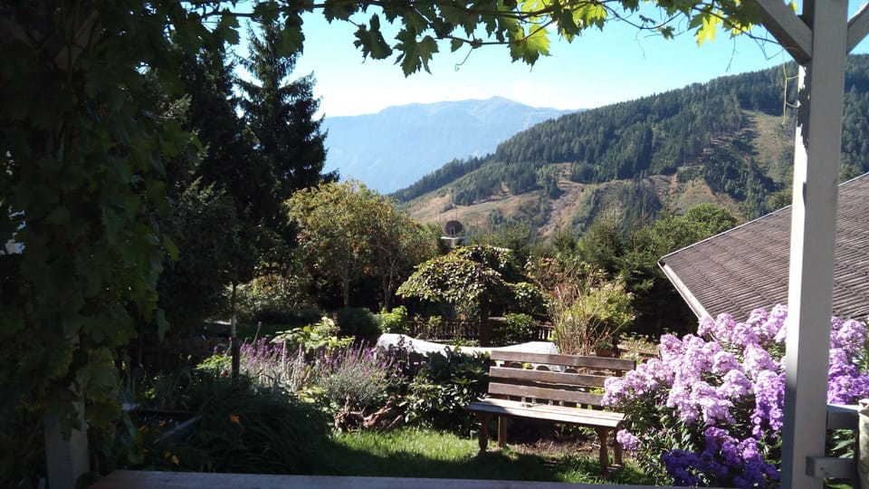 View from the dining room !