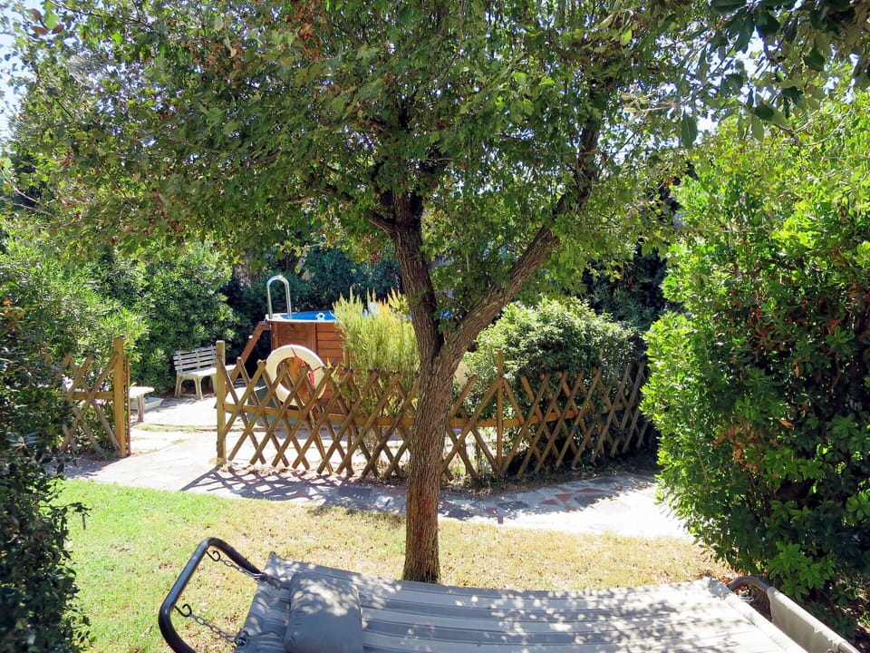 Plant, Plant Community, Tree, Shade, Natural Landscape, Sunlight, Grass, Fawn, Outdoor Furniture, Landscape