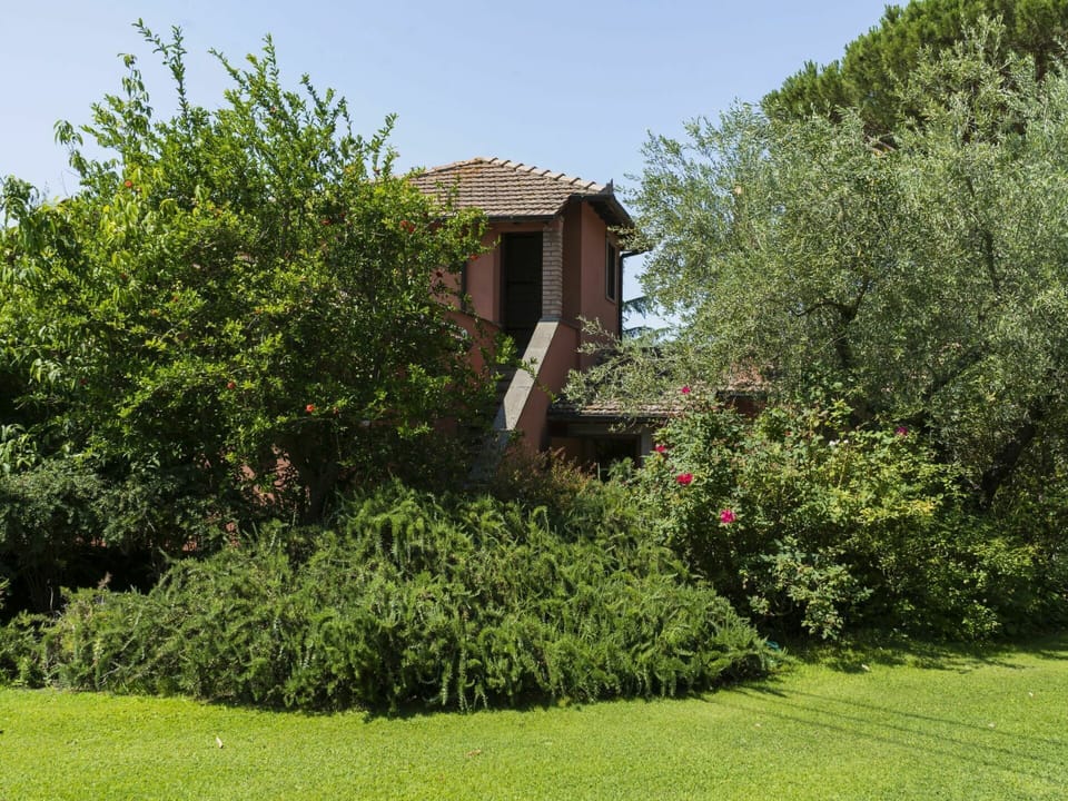 Plant, Sky, Plant Community, Natural Landscape, Land Lot, Vegetation, Grass, Groundcover, Landscape, Tree